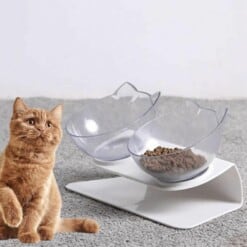 Ortopedyczna miska dla kota