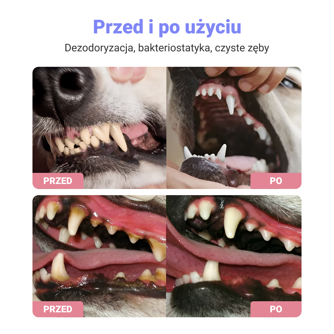 AEROZOL DLA ZWIERZĄT DOMOWYCH 1+1 GRATIS - obrazek 2