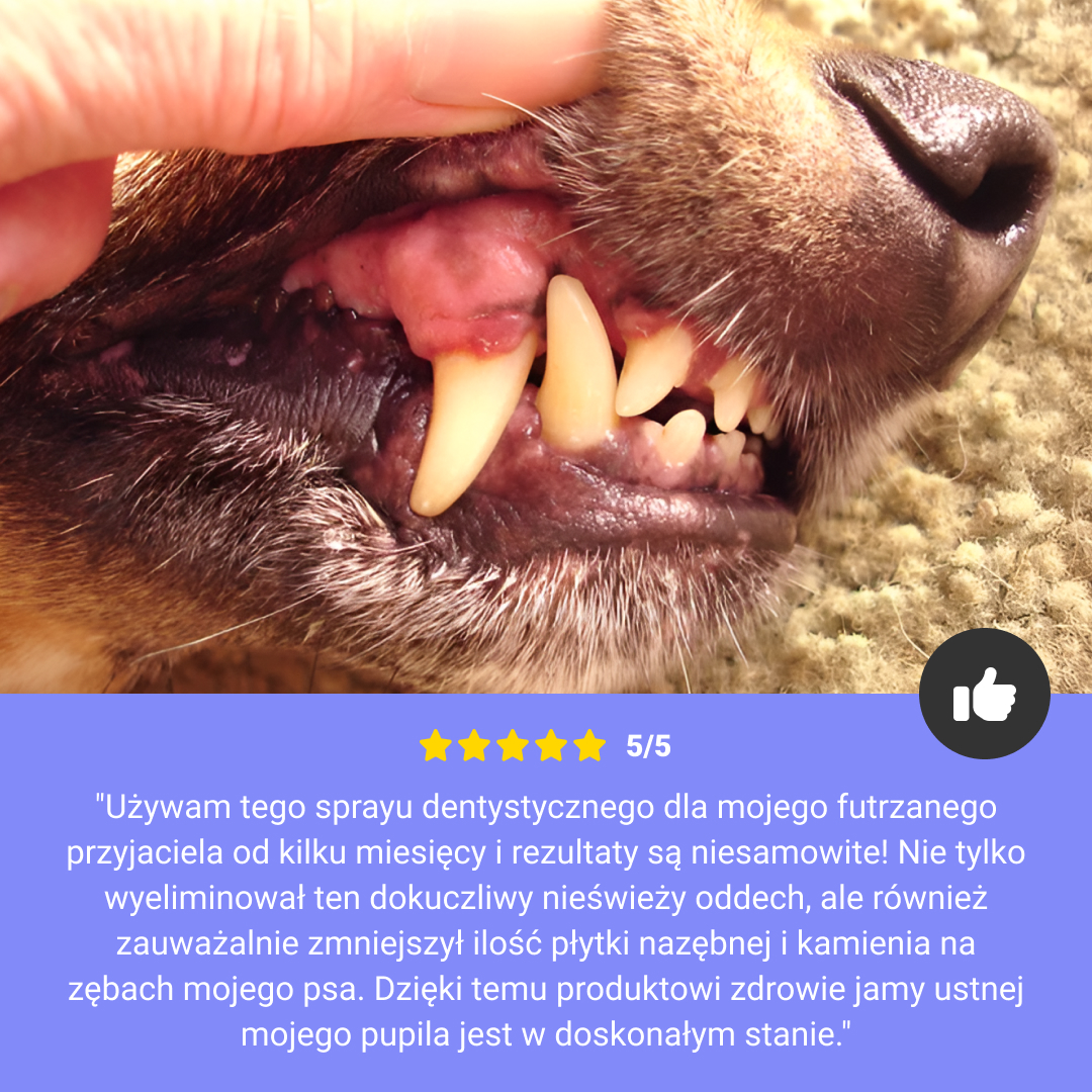 AEROZOL DLA ZWIERZĄT DOMOWYCH 1+1 GRATIS - obrazek 5