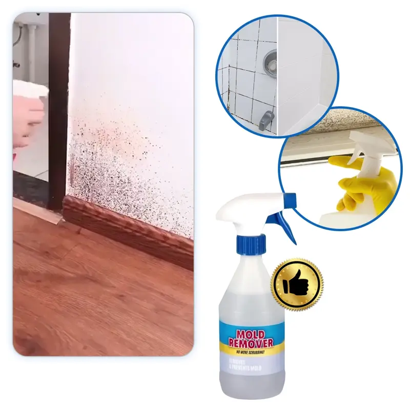 MoldGuard - Spray Przeciw Pleśni